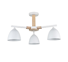 Люстра на штанге Lumion Colange 8095/3C
