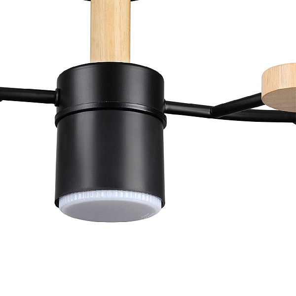 Потолочная люстра Lumion Comfi Crypto 8194/5C
