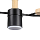 Потолочная люстра Lumion Comfi Crypto 8194/5C