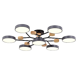 Люстра на штанге Evoluce Faema SLE6006-702-07