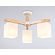 Потолочная люстра Ambrella light Traditional Loft TR83115