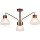 Потолочный светильник ILLUMICO IL0286-3C-79 BR