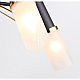 Потолочная люстра F-Promo Viator 2558-5P