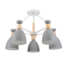 Потолочная люстра Freya Delia FR5033CL-05W