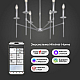 Люстра на штанге Eurosvet Anders 60142/6 хром Smart a061933