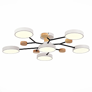 Люстра на штанге Evoluce Faema SLE6006-502-06