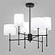 Люстра на штанге Eurosvet Notturno 60162/6 черный Smart a065662
