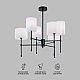 Люстра на штанге Eurosvet Notturno 60162/6 черный Smart a065662