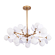 Подвесная люстра Arte Lamp Peacock A1369SP-15SG