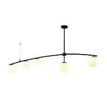 Подвесная люстра Lussole Loft Fishers LSP-8798