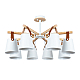 Потолочная люстра Arte Lamp Thomas A7032PL-8WH