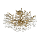 Подвесная люстра Loft IT Coral 10351/600C AB