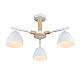 Потолочная люстра Lumion Moderni Colange 8095/3C