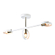 Потолочный светильник Ambrella light Traditional TR8228