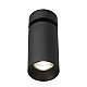 Спот Citilux Axel CL512211