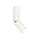 Спот Ambrella Light Techno Spot XM6312150 (C6322, A2063, A2220, C6312, N6235)
