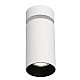 Спот Citilux Axel CL512210