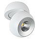 Спот Reluce 81174-9.5-001MZ COB8W WT