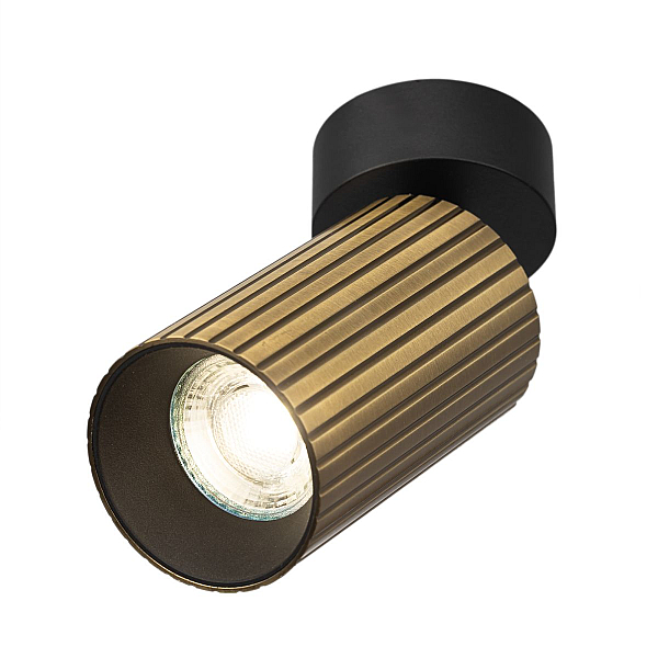 Спот Citilux Axel CL512213R