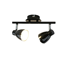 Светодиодный спот Arte Lamp Gioved A6008PL-2BK