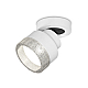 Спот Ambrella Light Techno Spot XM8101040 (A2228, A2105, C8101, N8480)
