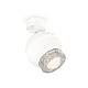 Спот Ambrella Light Techno Spot XM1101010 (A2202, C1101, N7191)