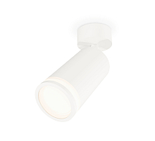Спот Ambrella Light Techno Spot XM6322013 (A2202, C6322, N6220)