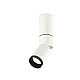 Спот Ambrella Light Techno Spot XM6312115 (C6322, A2061, A2220, C6312, N6131)