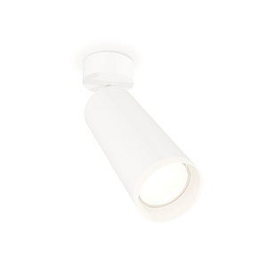 Спот Ambrella Light Techno Spot XM6342010 (A2202, C6342, N6246)