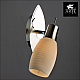Спот Arte Lamp A4590AP-1SS