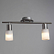 Спот Arte Lamp A4510PL-2SS