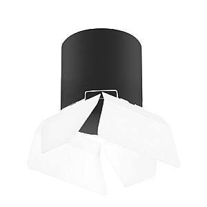 Накладной светильник Lightstar Rullo (213487+202486) R3487486