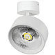 Накладной светильник Alta Pro Lightstar A5736SO