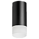 Накладной светильник Lightstar Rullo R43731 (214437+202431)