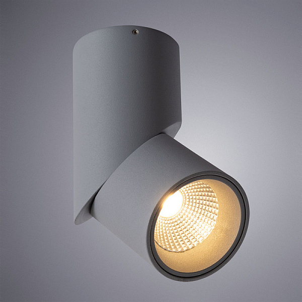 Накладной светильник ARTE Lamp A7717PL-1GY