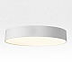 Потолочный светодиодный светильник Citilux Bart CL755390