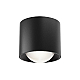 Потолочный светильник Technical C217CL-15W4K-B