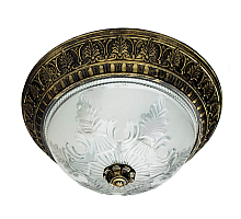Потолочный светильник Arte Lamp Piatti A8005PL-2BN