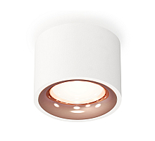 Потолочный светильник Ambrella Light Techno Spot XS7510025 (C7510, N7015)