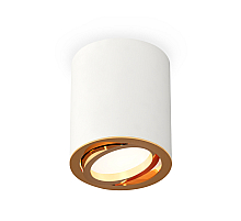 Потолочный светильник Ambrella Light Techno Spot XS7421003 (C7421, N7004)