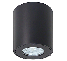 Накладной светильники Arte Lamp Tino A1469PL-1BK