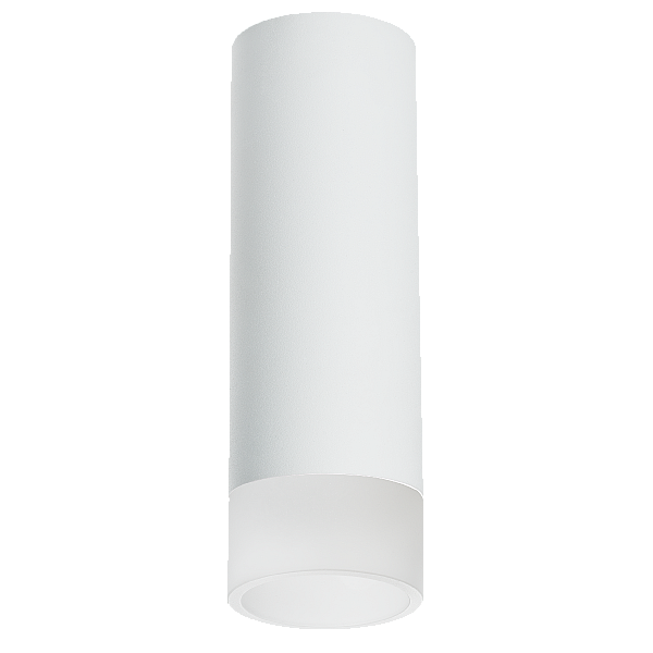 Накладной светильник Lightstar Rullo R48631 (214486+202431)