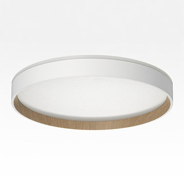 Потолочный светодиодный светильник Citilux Etalon CL750320R