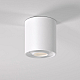 Накладной светильник Elektrostandard Orsa 25041/LED 4690389195204 a062934
