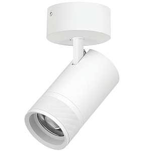 Накладной светильник 20-55G с адаптером Lightstar Canno Pro C4406SO
