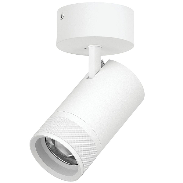 Накладной светильник 20-55G с адаптером Lightstar Canno Pro C4406SO
