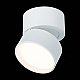 Светодиодный спот ST Luce ST651.532.09