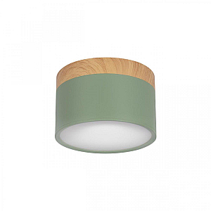 Накладной светильник Loft IT Grape 10162 Green