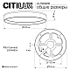 Потолочный светодиодный светильник Citilux Etalon CL750320R