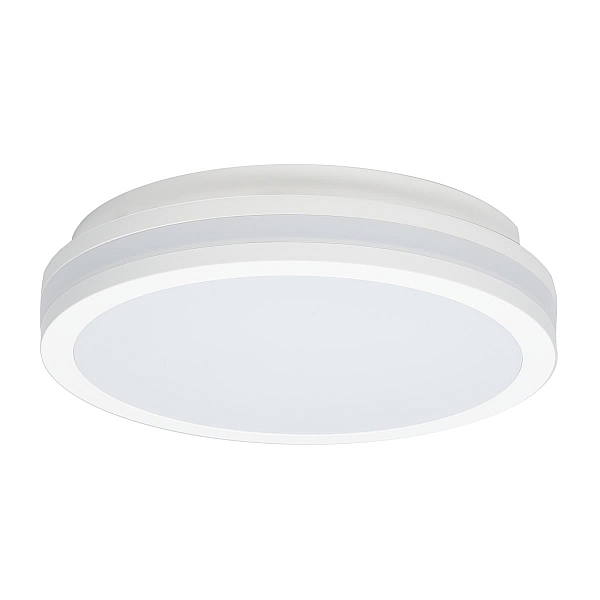 Накладной светильник Citilux CL711010V
